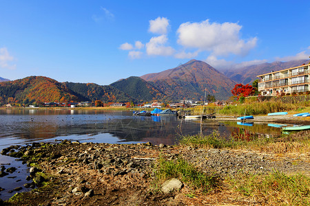 日本的川口子湖叶子高清图片素材