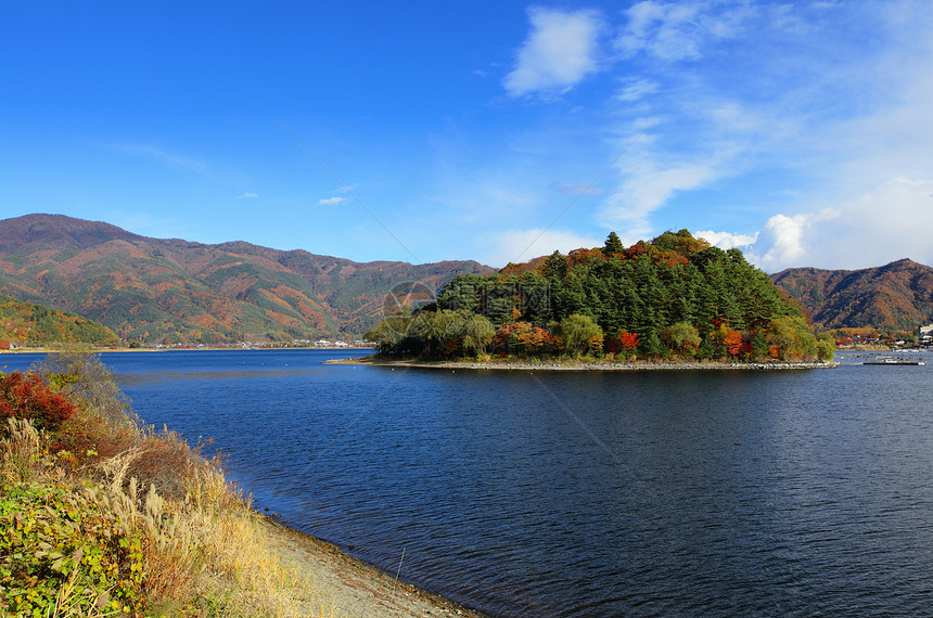 日本川口湖森林季节池塘叶子植物天空公吨蓝色图片