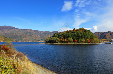 日本川口湖森林季节池塘叶子植物天空公吨蓝色水高清图片素材