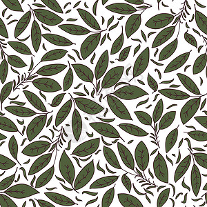 绿色树叶花纹质插图生长生物衬套墙纸创造力叶子演讲生态植物学背景图片