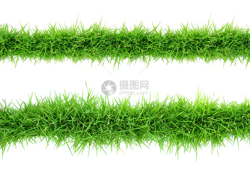 草绿色场地植物环境草地草皮图片
