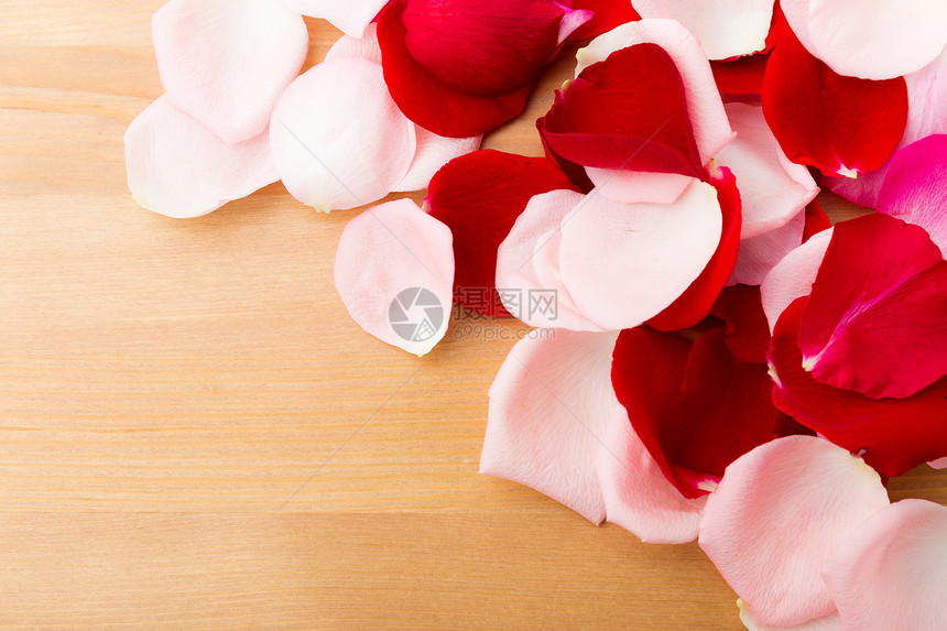 玫瑰花瓣念日踏板桌子婚姻粉色热情礼物新娘花束红色图片