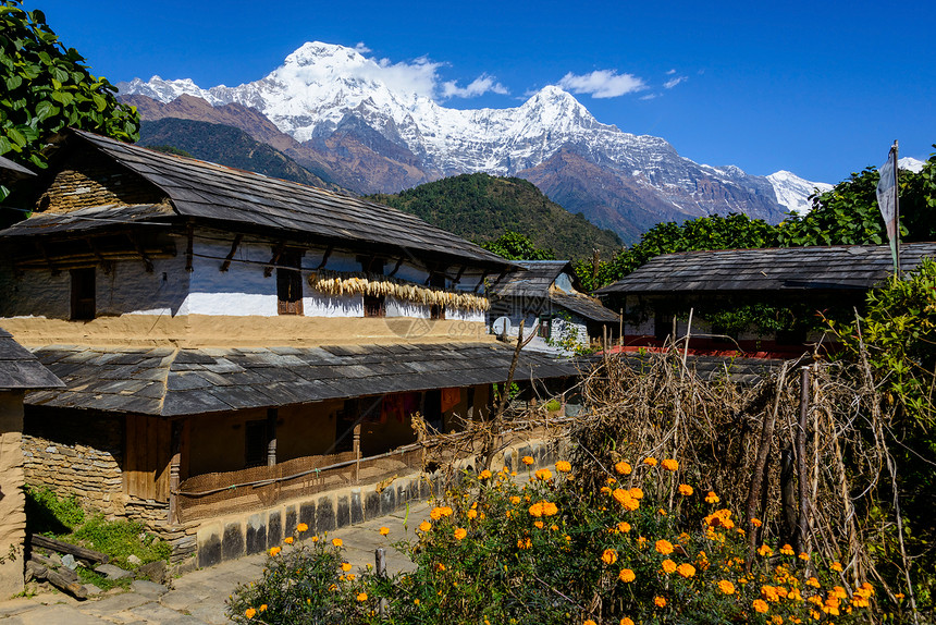 Annapurna地区Ghandruk村村庄冰川乡村山脉地质学风景山峰高度建筑学旅行图片