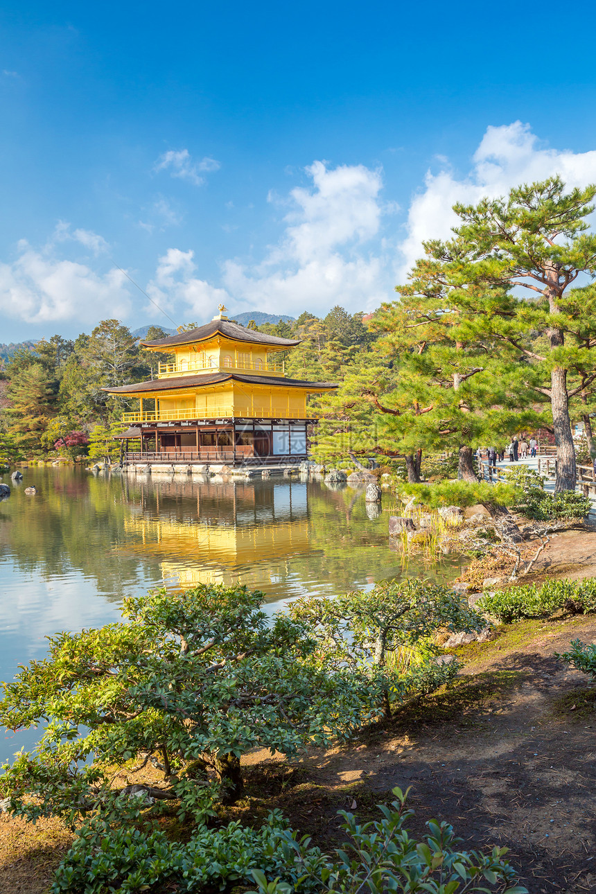 京都日本九角寺崇拜佛教徒文化旅游游客遗产吸引力历史性寺庙森林图片