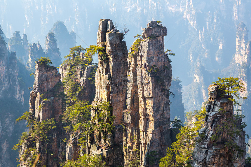 中国国家森林组织 张贾吉遗产公园化身森林世界悬崖绿色风景国家岩石图片