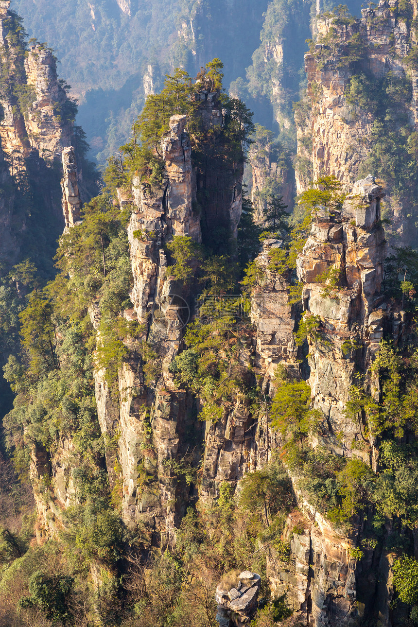 中国国家森林组织 张贾吉公园悬崖世界遗产化身国家绿色石头风景森林图片