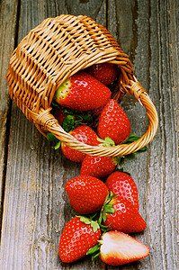 篮子中的草莓食物全身浆果美食家甜食乡村静物宏观色彩柳条背景图片
