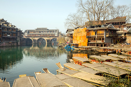 凤凰树中国文化旅游目的地高清图片