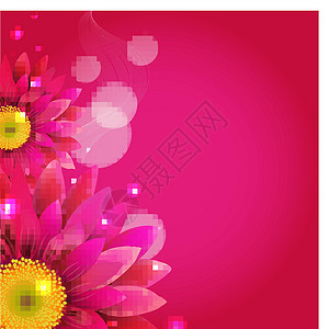 粉红雏菊与 Gerbers 粉红背景日母庆典婚礼卡片生日橙子格柏礼物雏菊订婚设计图片