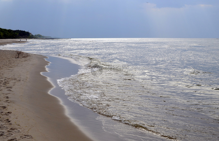 带森林 海滩 海和风暴云的波罗的海景观钓鱼绿色蓝色风暴天空海岸叶子光束松树海浪图片