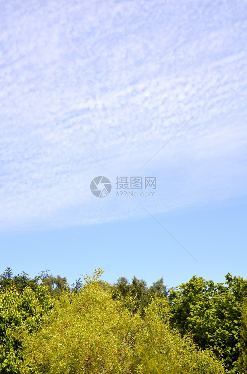 蓝色天空被绿树切成一半图片