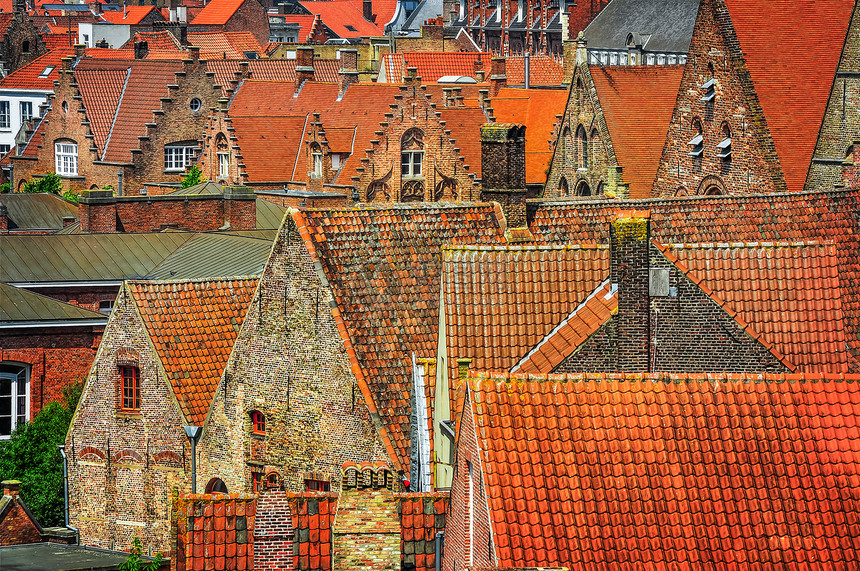 历史城镇古老橙色屋顶的详细图景图片