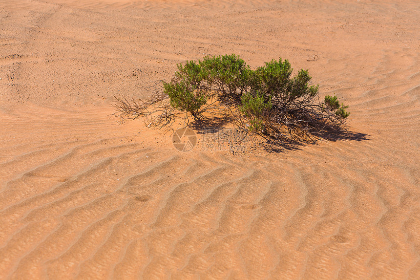 阿拉伯沙漠衣服游客沙丘旅行沙漠沙景男人荒野天空冒险图片