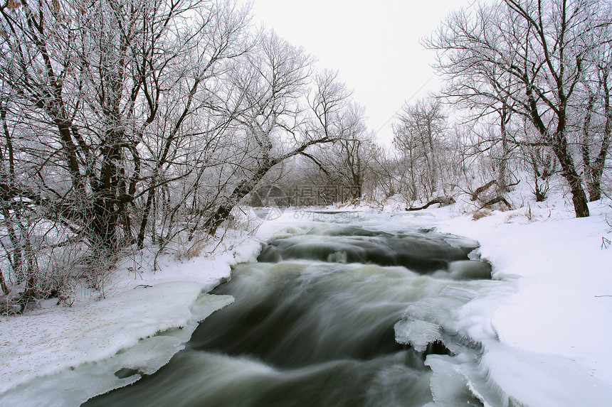 乌克兰顿涅茨克地区Krynka河冬季风景地区场景蓝色季节仙境树木瀑布溪流森林白色图片