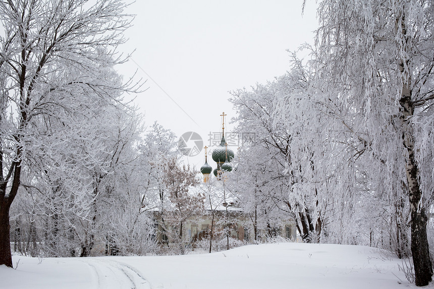 白树和教堂水平圆顶历史绿色公园建筑学森林地标天空白色图片