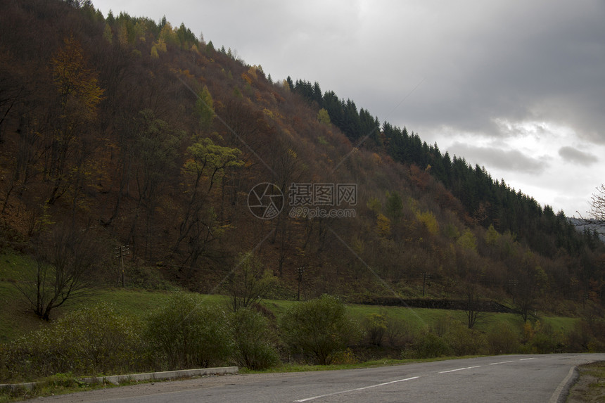 秋天在山丘上筑坡路沥青爬坡财产曲线风景风暴蓝色假期树木生活图片