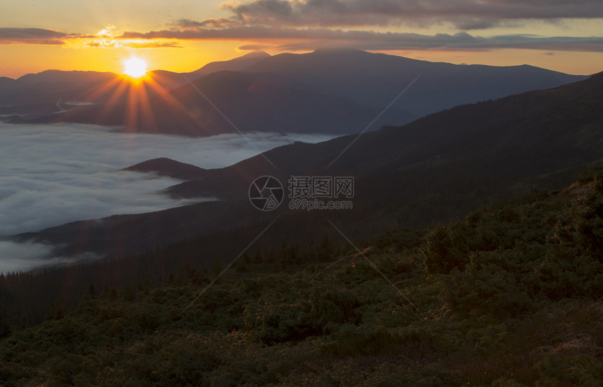 在山中升起蓝色阳光土地叶子场景公园风景日落植物旅行图片