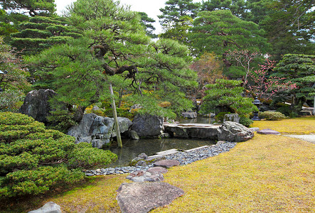 日本和平公园日本花园水池衬套池塘叶子卵石草地石头松树植物公园背景