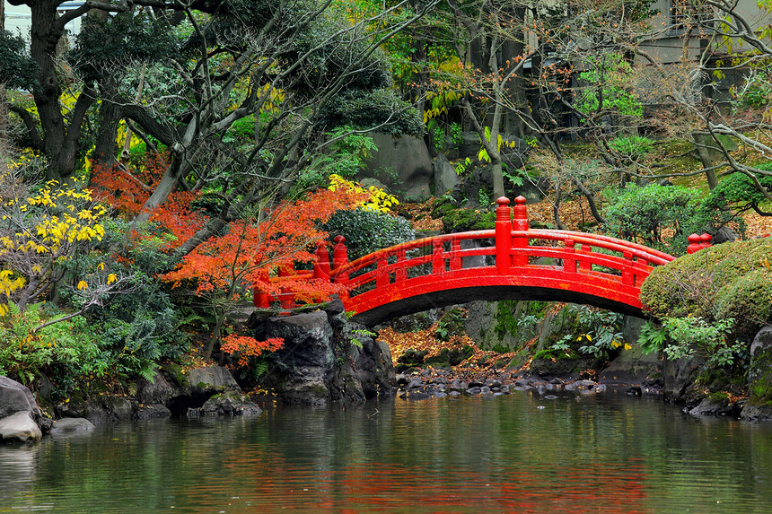 日本花园池塘叶子人行道绿色红色寺庙衬套园艺树篱岩石图片