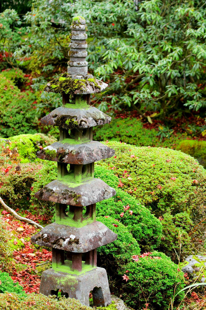 日本灯笼花园石头寺庙苔藓森林公园植物传统绿色地衣图片