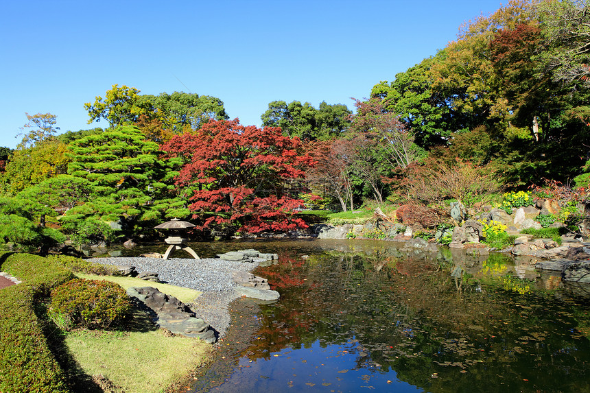 日本花园绿色园艺黄色红色建筑学公园池塘寺庙叶子庭院图片