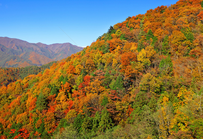 秋季时的温馨山峰图片