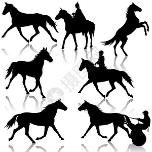 设置马和 jocke 的矢量剪影自由良种马术荒野野马鬃毛农场插图行动饲养插画