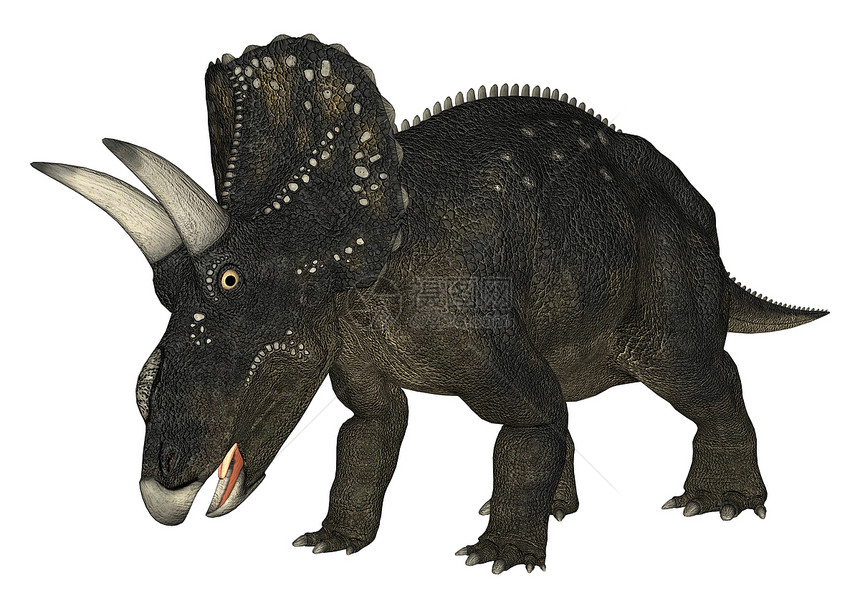 恐龙糖尿病绿色怪物白色牛角捕食者插图动物野生动物时代古生物学图片