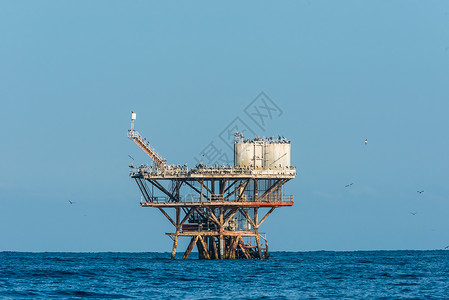 皮乌拉佩尔的秘鲁海岸海产石油钻井平台上的鸟群背景图片