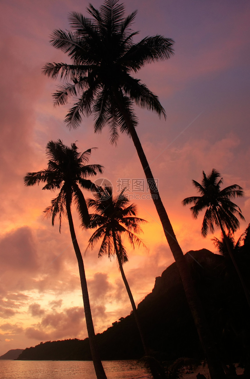 日出时有棕榈树的热带海滩 全国马安通海洋海湾日落棕榈橙子天空丛林海岸线公园旅行图片
