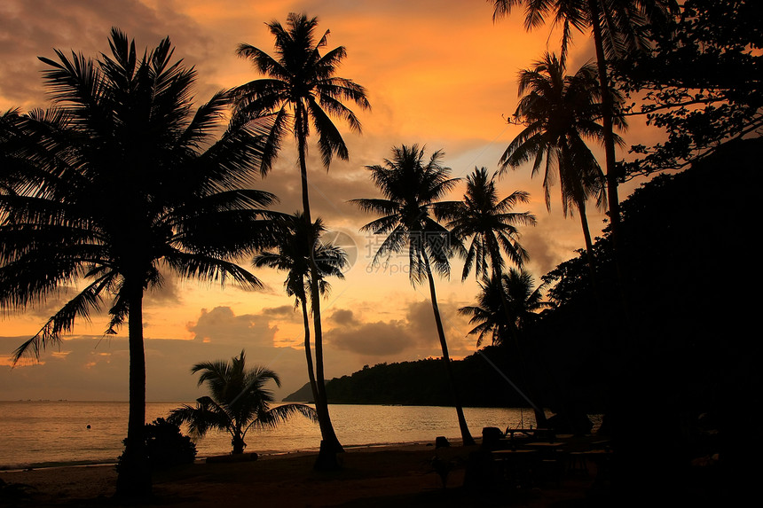 日出时有棕榈树的热带海滩 全国马安通丛林公园橙子海岸线海岸剪影海湾海景旅行日落图片