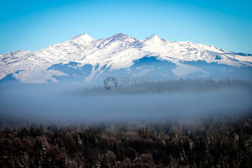 白山风景旅行季节性森林图片