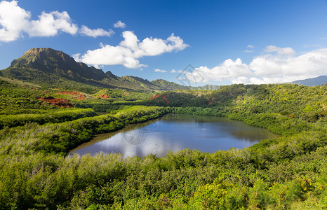 Menehune鱼塘Kauai夏威夷高清图片