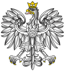 波兰白色波兰标志 - 有影子的白鹰插画