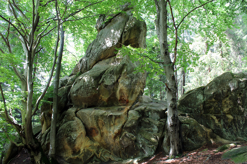 像森林里的青蛙一样大岩石悬崖场景公园画报旅行衬套假期地层绿色全景图片