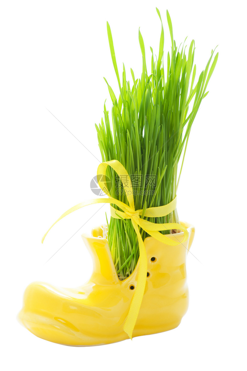 黄鞋绿草园艺生态白色生长绿色草本植物环境小麦花瓶生活图片