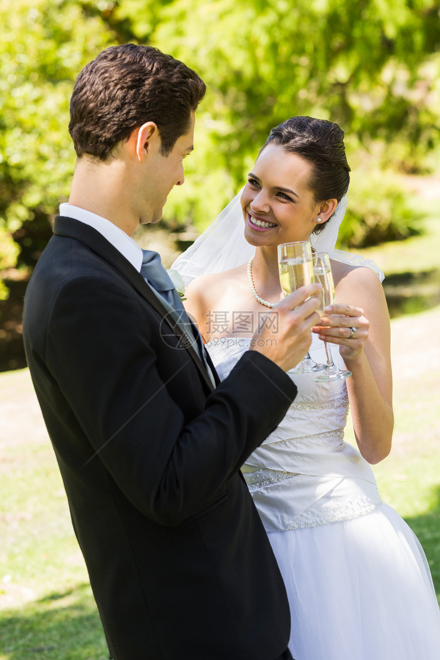 公园新婚红烤面包香槟长笛新郎微笑婚礼酒精女性夫妻已婚新娘婚纱天空图片