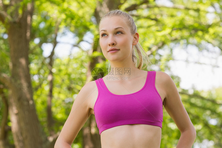 身穿运动胸围 与公园树木对立的美丽健康女子图片