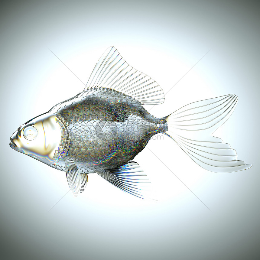由玻璃制成的鱼的侧面视图图片