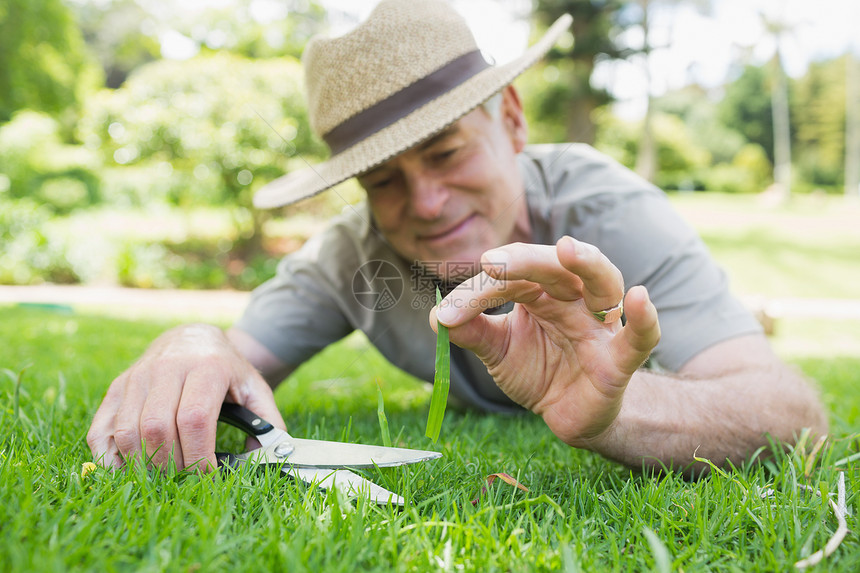 人用剪刀割草的人老年帽子农场男人苗圃成人花园工具工作园丁图片