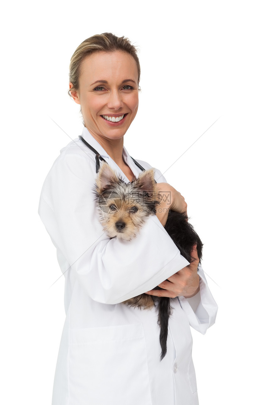 快乐的兽医抱着日耳曼小狗在镜头前微笑图片