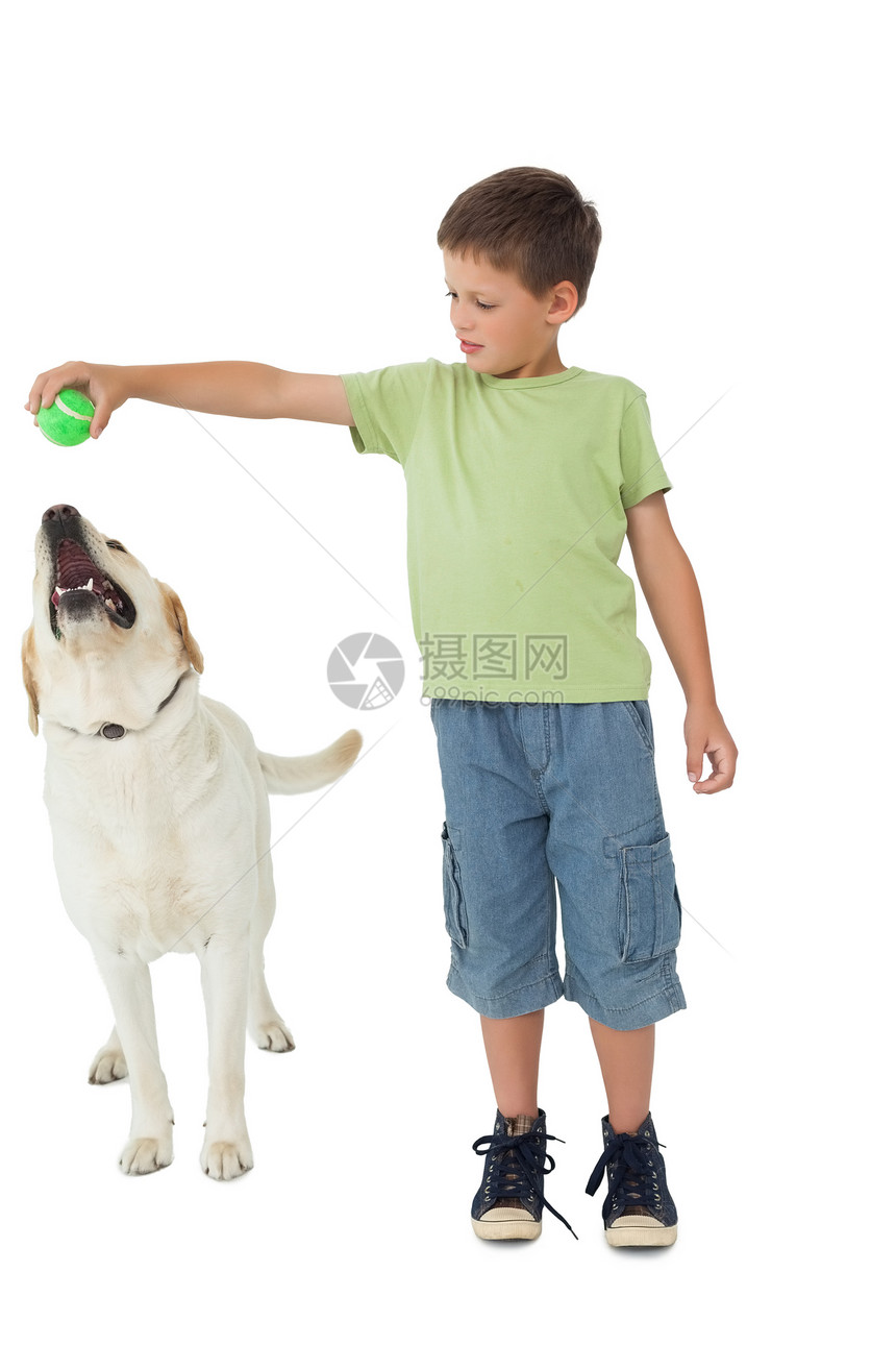可爱的小男孩与他的拉布拉多人玩球图片