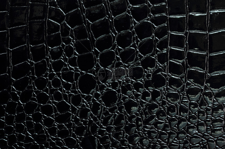 鳄形皮革工艺皮肤框架黑色爬虫材料动物模仿质量图片