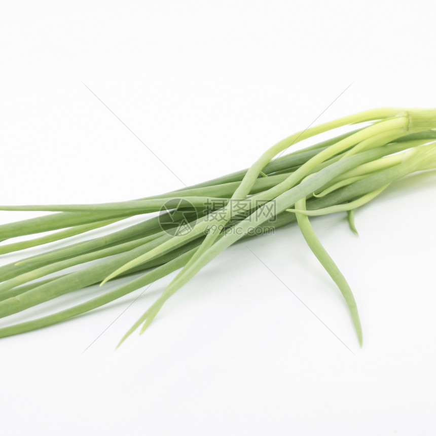 白线上隔离的春季洋葱杂草沙拉香料韭菜刀刃食物草本植物烹饪药物韭葱图片
