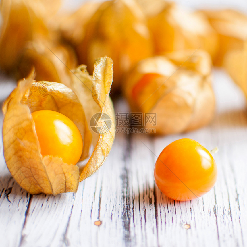 植物盐异国地面醋栗情调饮食食物灯笼浆果季节水果图片