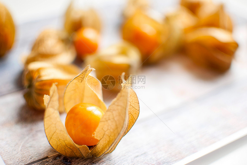 植物盐情调饮食水果烹饪地面灯笼食物季节醋栗异国图片