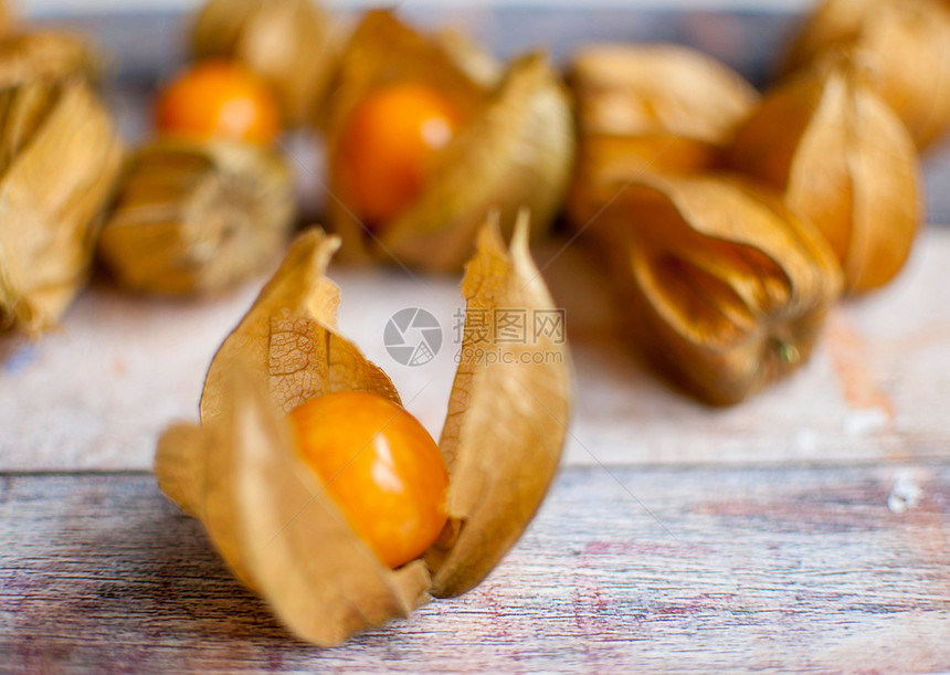 植物盐醋栗季节食物水果异国饮食情调地面浆果橙子图片