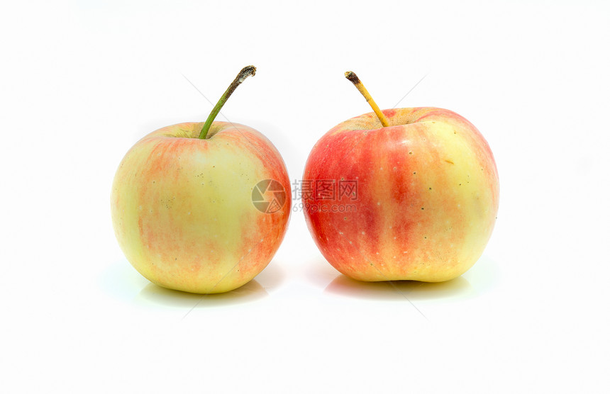 孤立的小红苹果和黄苹果尺码水果红色食物黄色白色图片