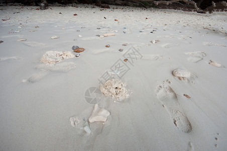 塔兰州西米兰的沙滩石头岩石背景图片
