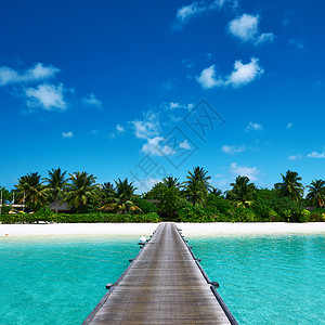 热带的木制的马尔代夫蓝色的高清图片